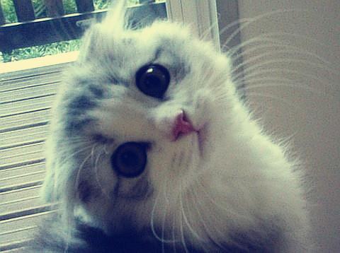 հˮϵȫͨ ˳ǡø˾