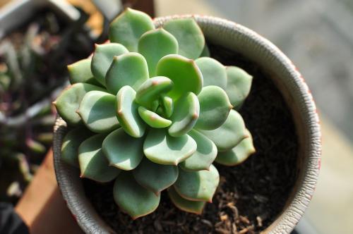 ձһ뾳߸ȾϷǳֵı¹ڲ